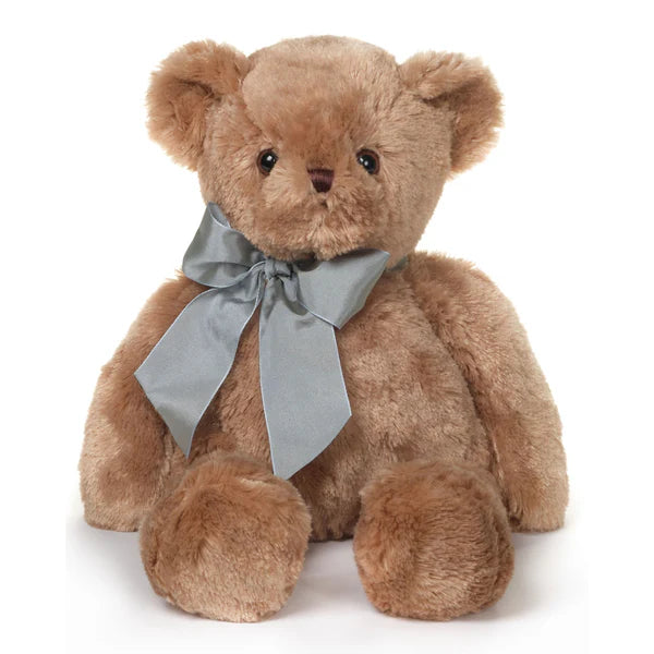 Gus the Teddy Bear