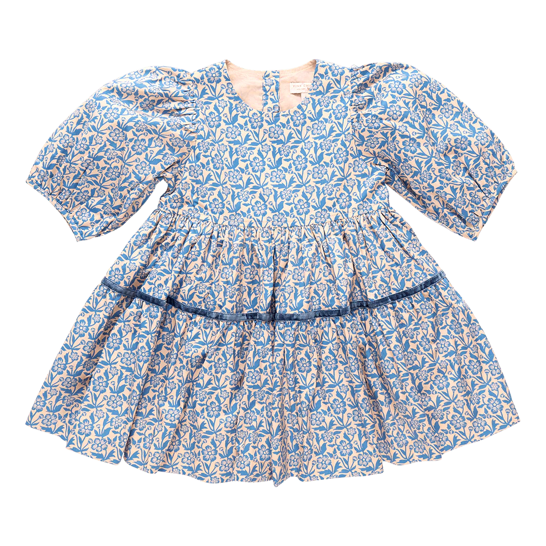 Girls Maribelle Dress - Blue Climbing Floral
