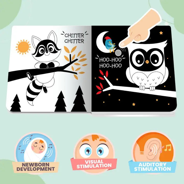 Ditty Bird : Black and White Sound Book - New Born