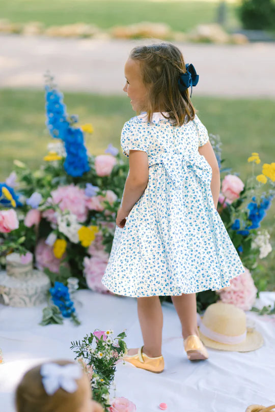Isadora Floral Blue Dress
