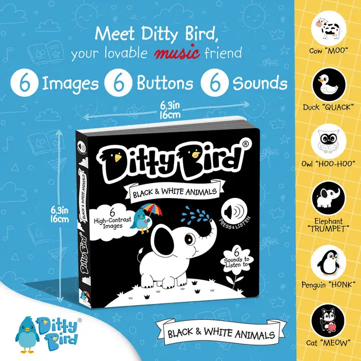 Ditty Bird : Black and White Sound Book - New Born