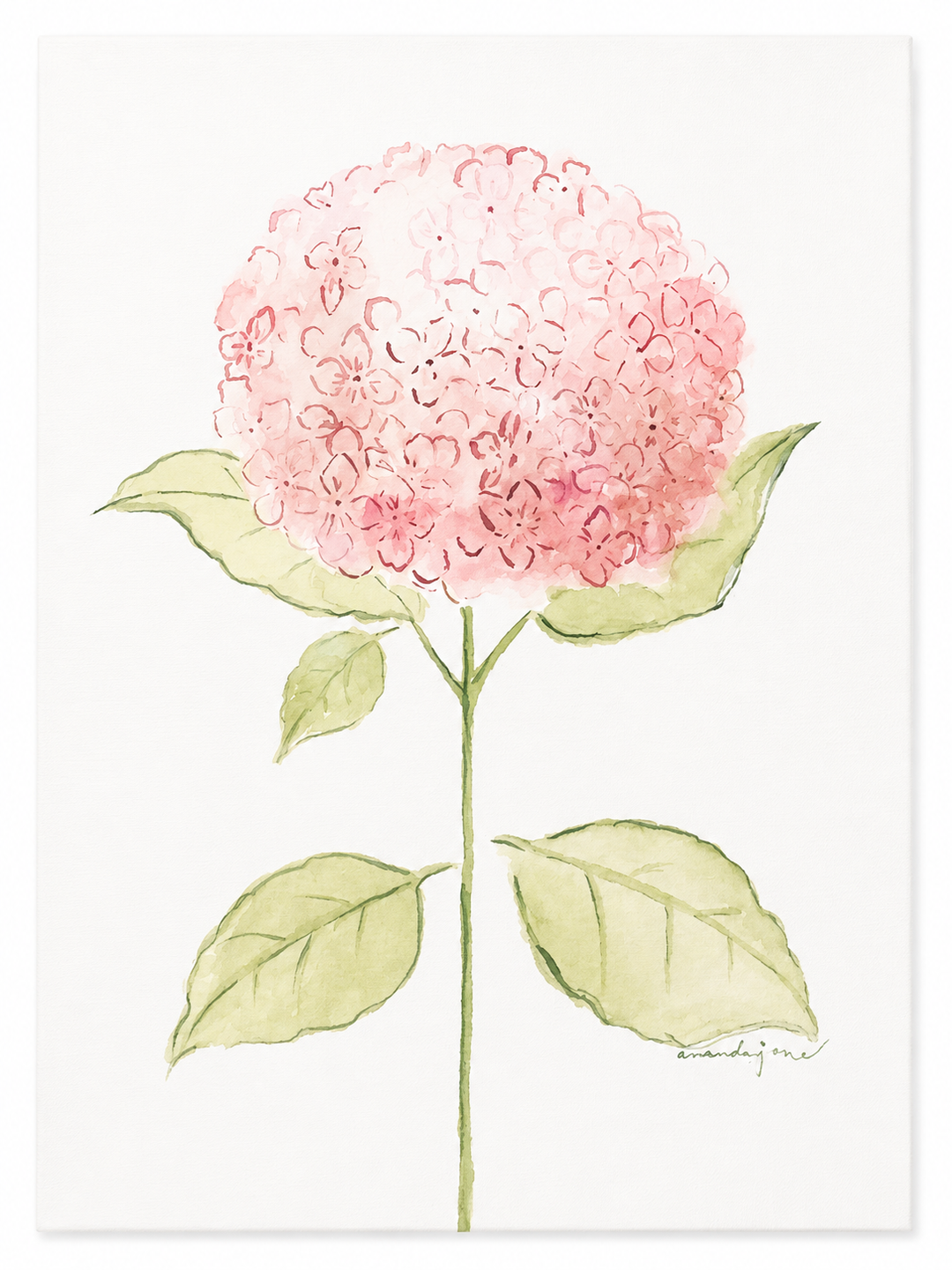 Amanda Jane Art 5x7 Flower