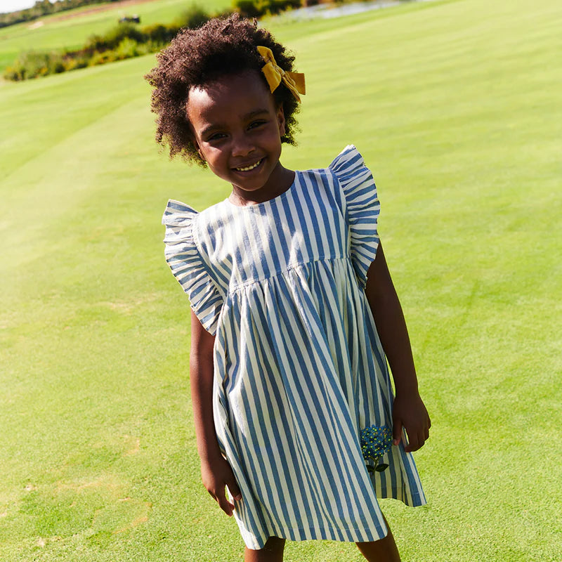 Blue Stripe Sarita Dress