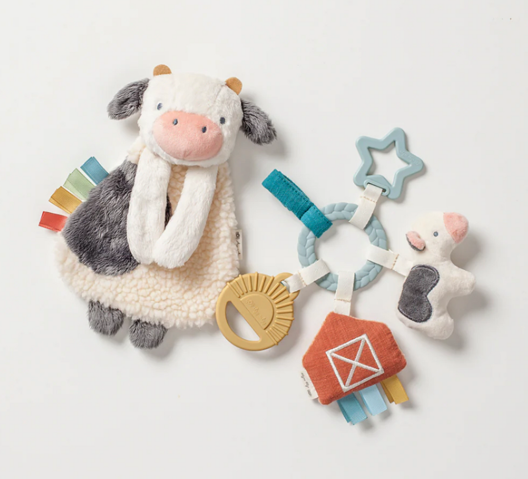 Bitzy Busy Farm Gift Set