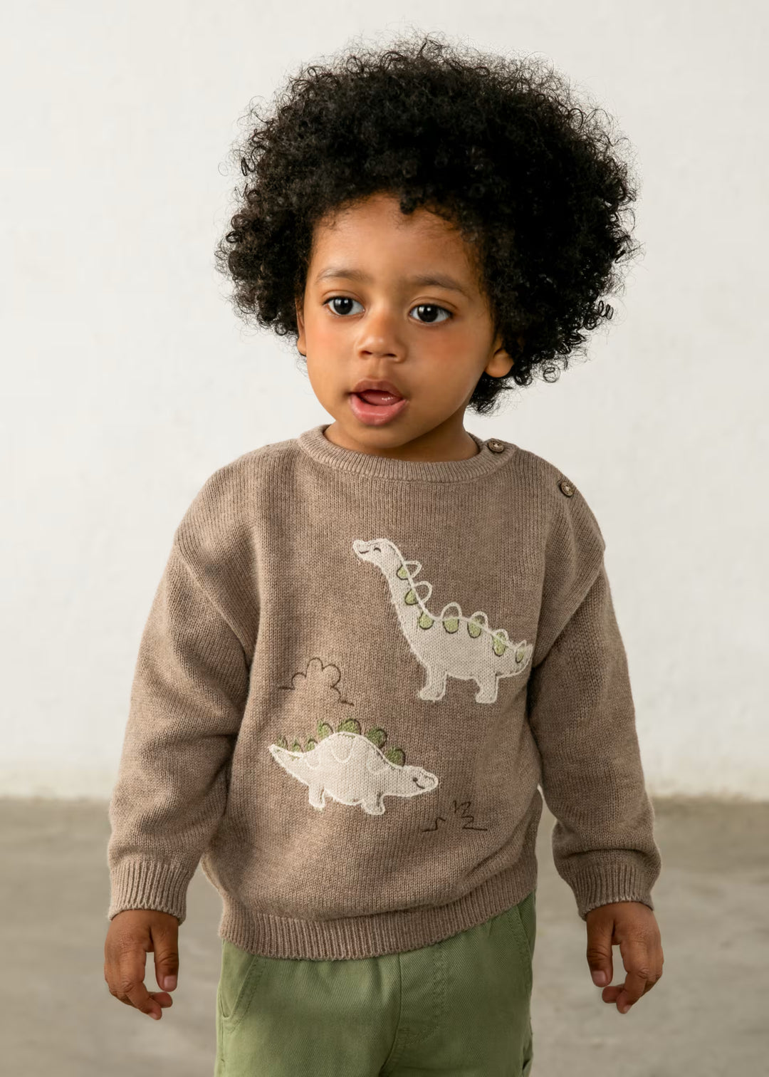 2371 Brown Dinosaur Sweater