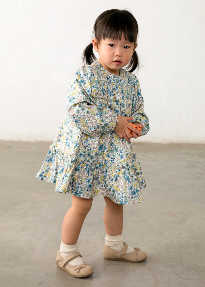2946 Printed Velvet Dress- Anise