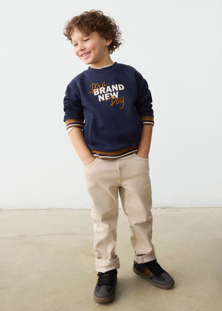 4504 Regular Fit Pants- Nut