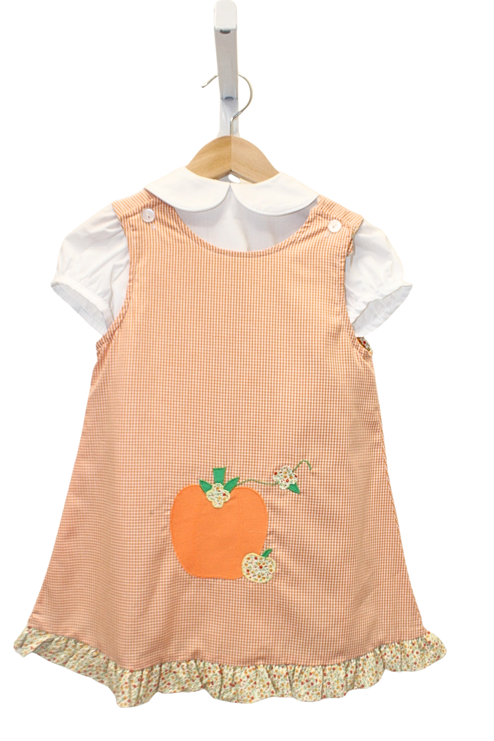 Reversible Dress w/Blouse