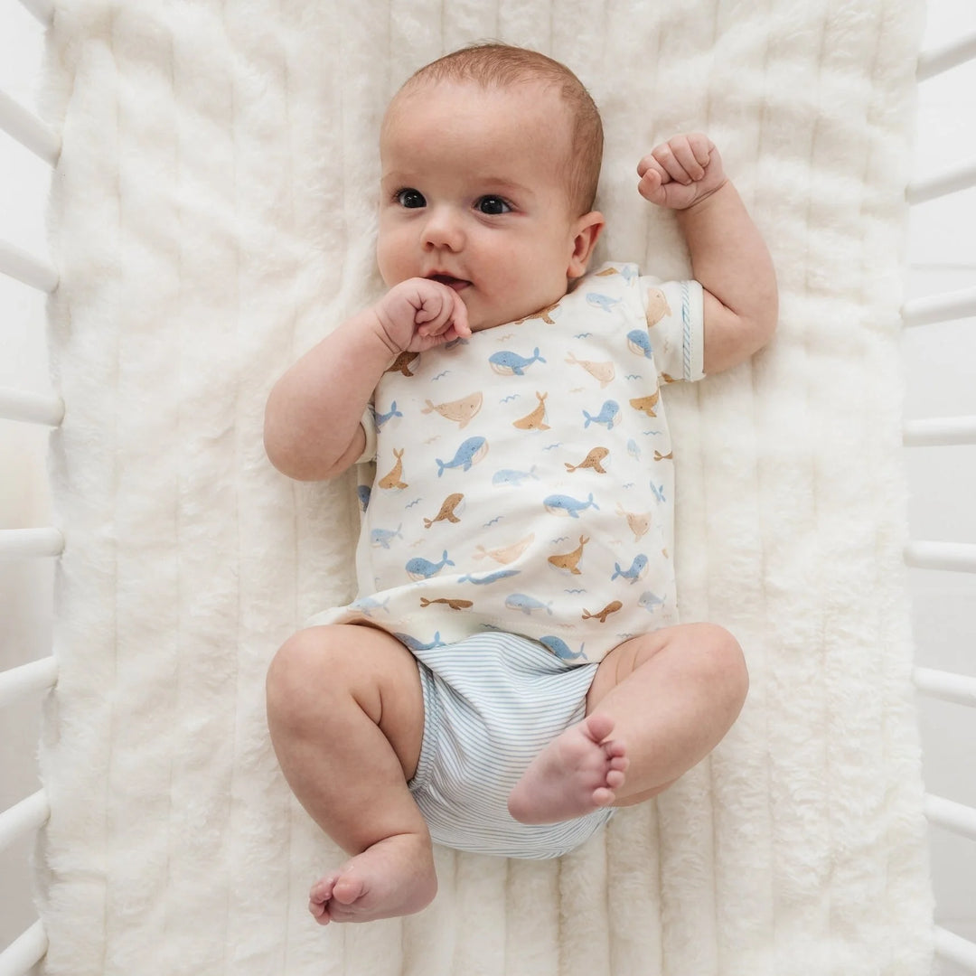 Boys Whale Tales Diaper Cover Set - Ivory